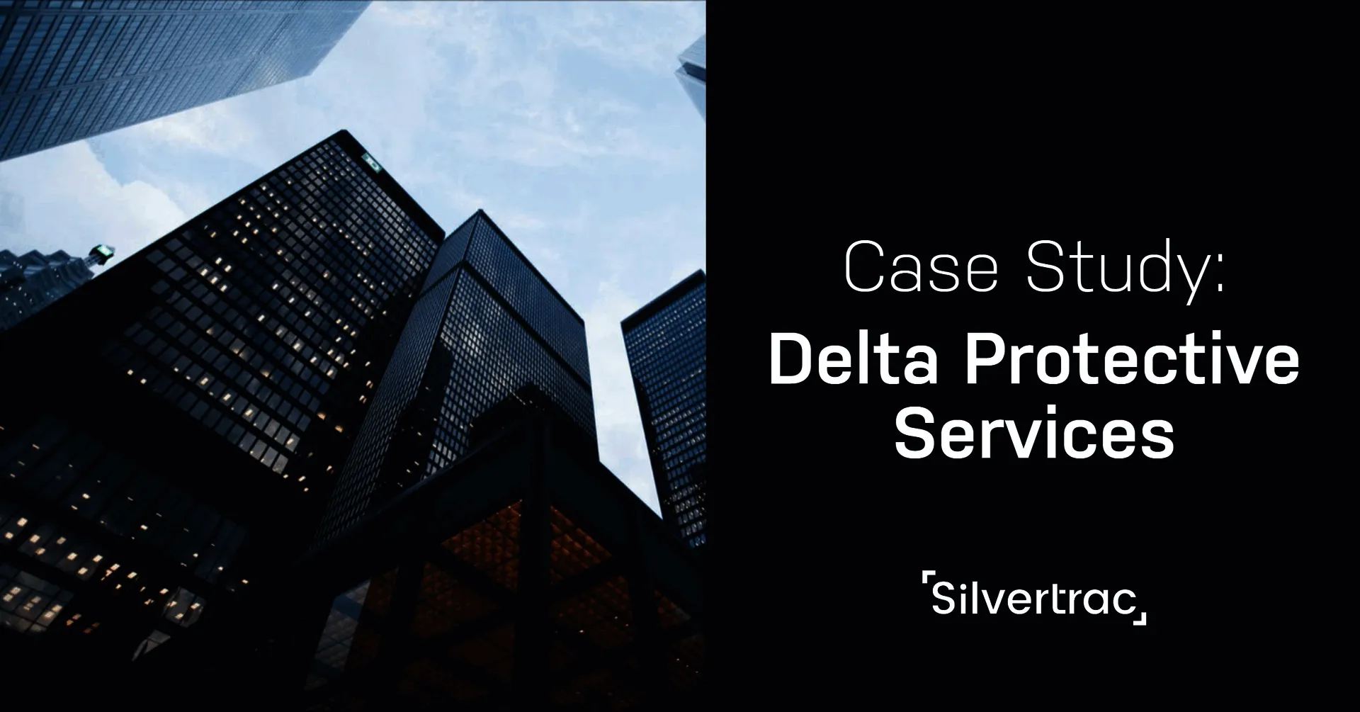Case Study: Delta Protective Services 10 Dps case study