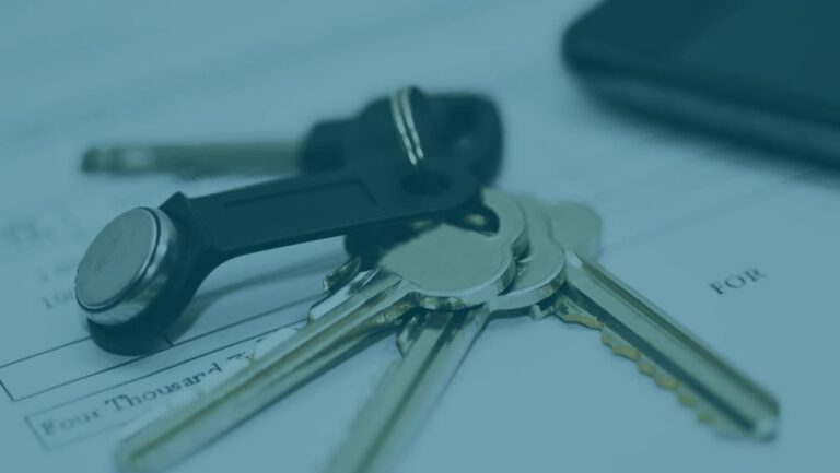How your team can better manage assets blog