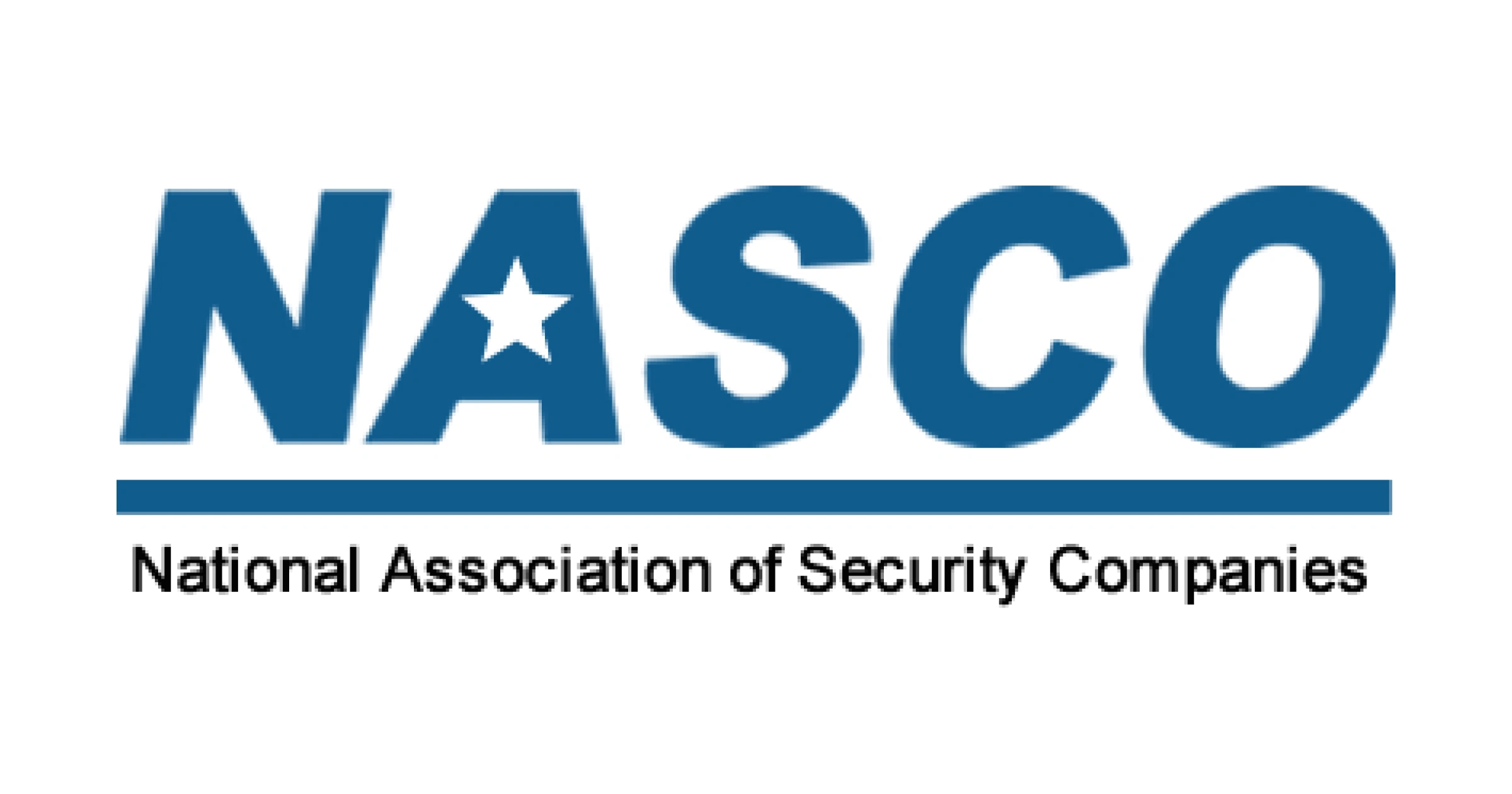 NASCO Winter Security Industry Leaders Roundtable logo