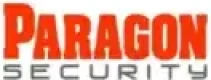 Organization Types 8 Paragon Security logo